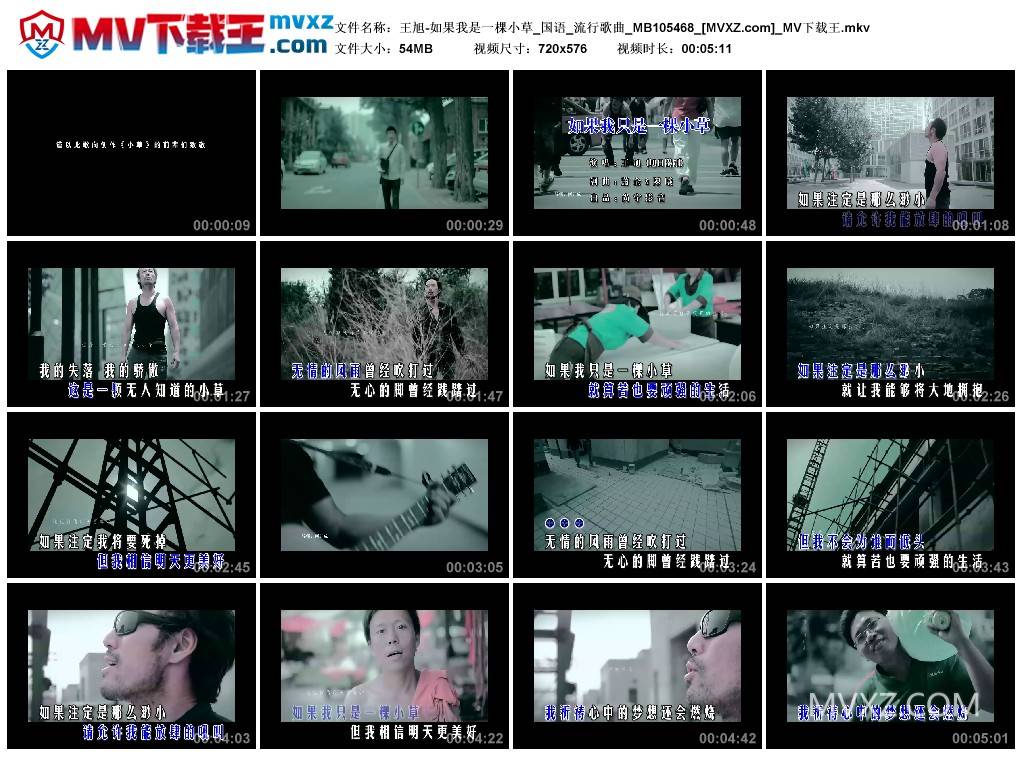 王旭-如果我是一棵小草_国语_流行歌曲_MB105468